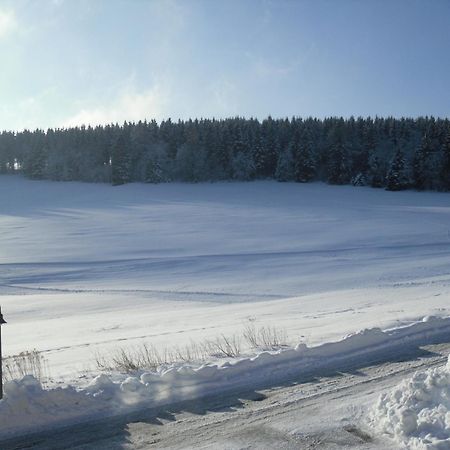 Apartment Sonnenschein Braunlage Eksteriør billede