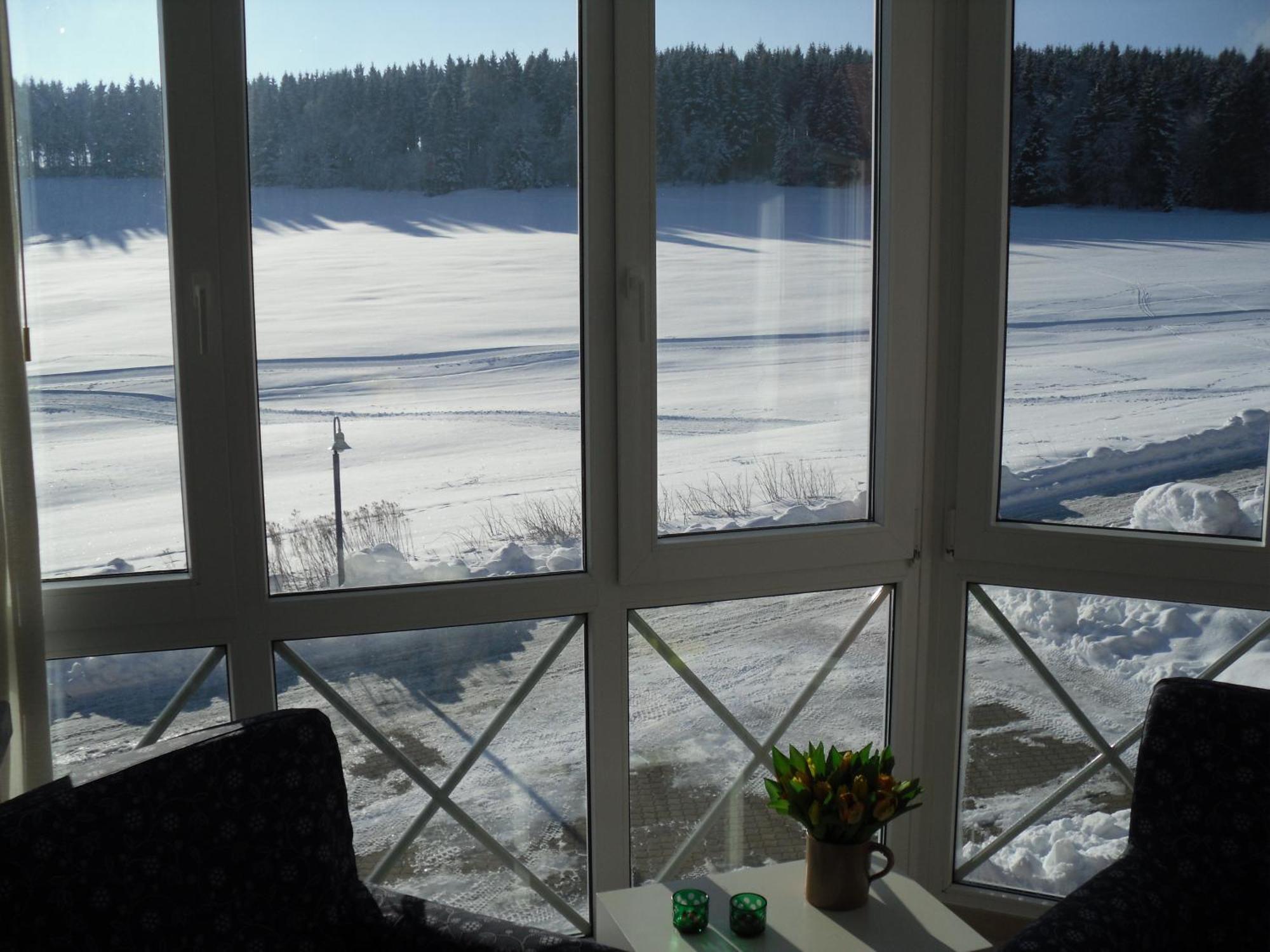 Apartment Sonnenschein Braunlage Eksteriør billede