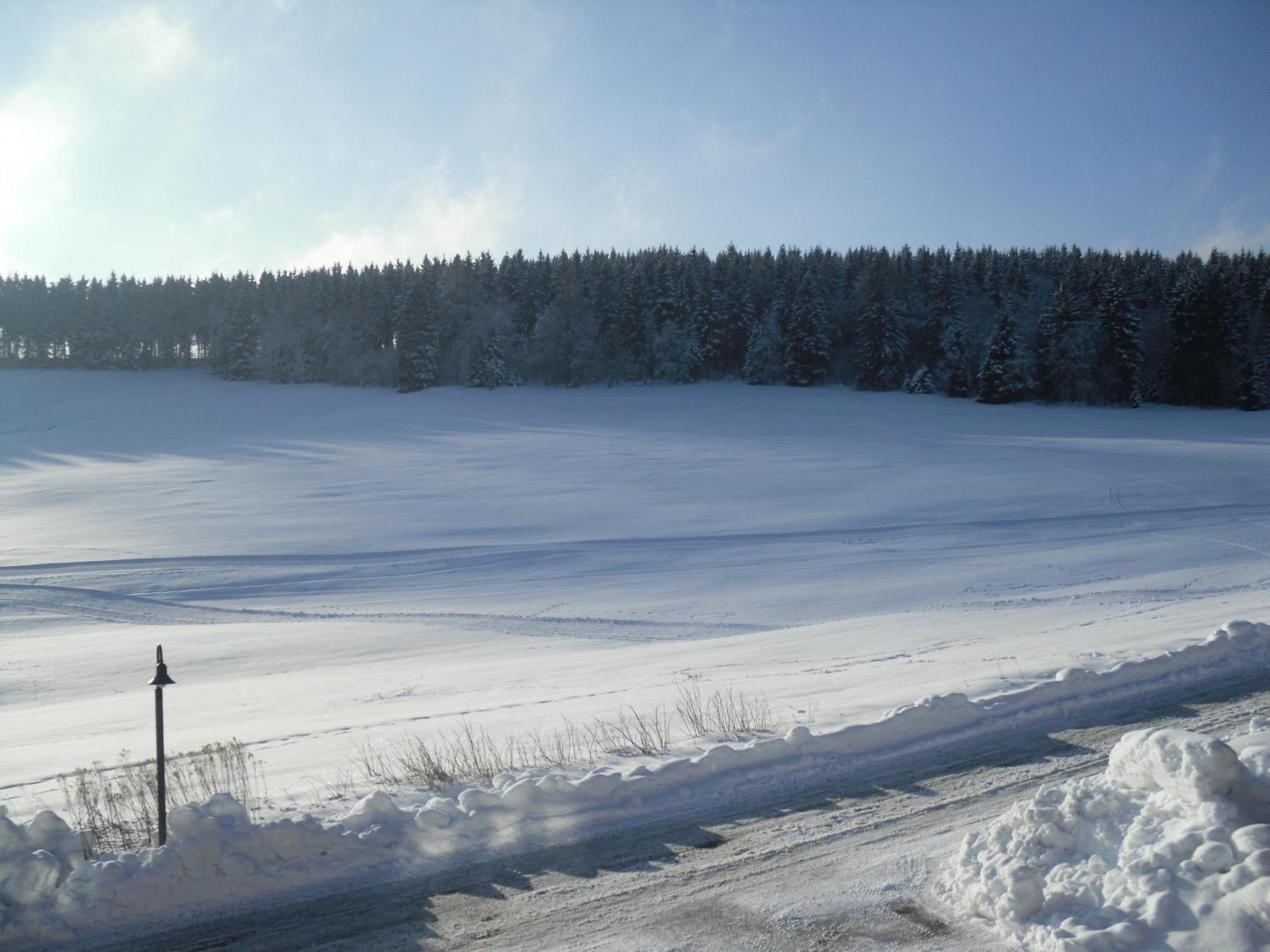 Apartment Sonnenschein Braunlage Eksteriør billede