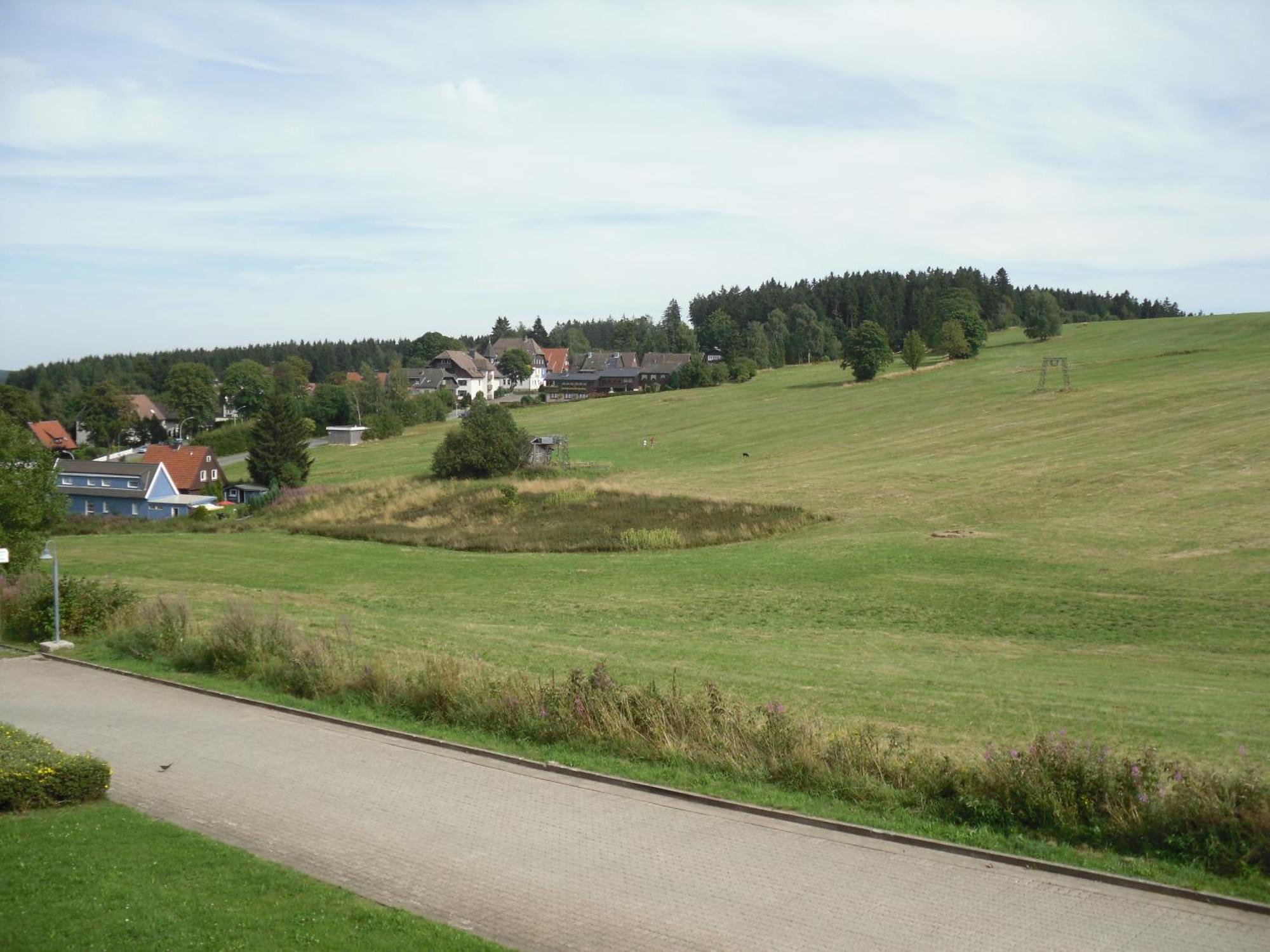 Apartment Sonnenschein Braunlage Eksteriør billede