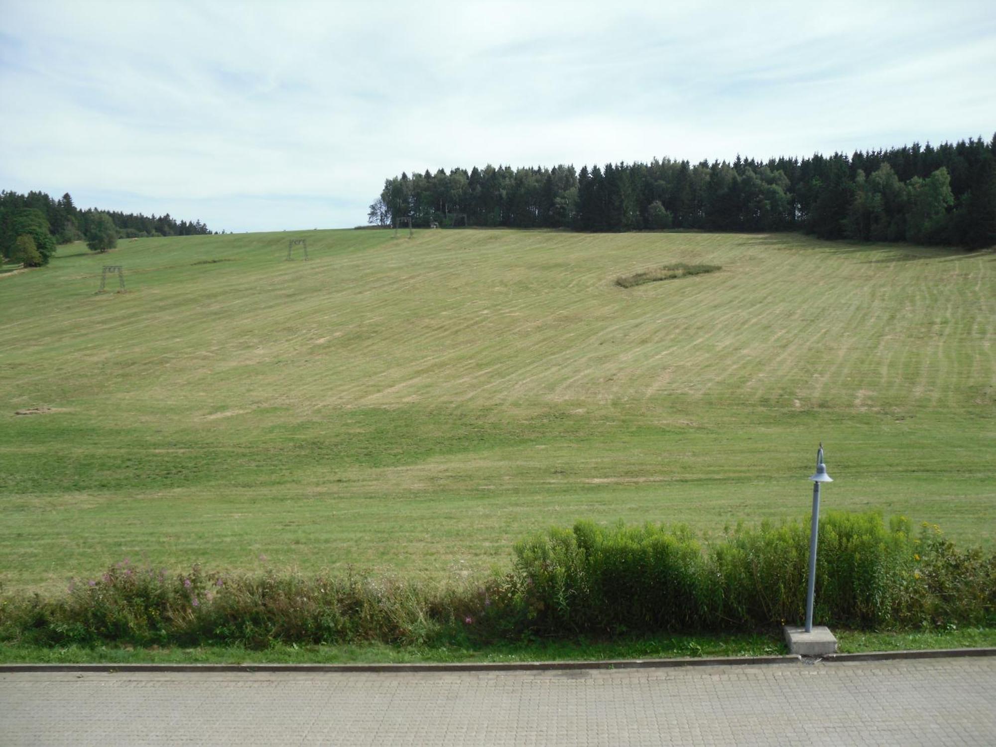 Apartment Sonnenschein Braunlage Eksteriør billede