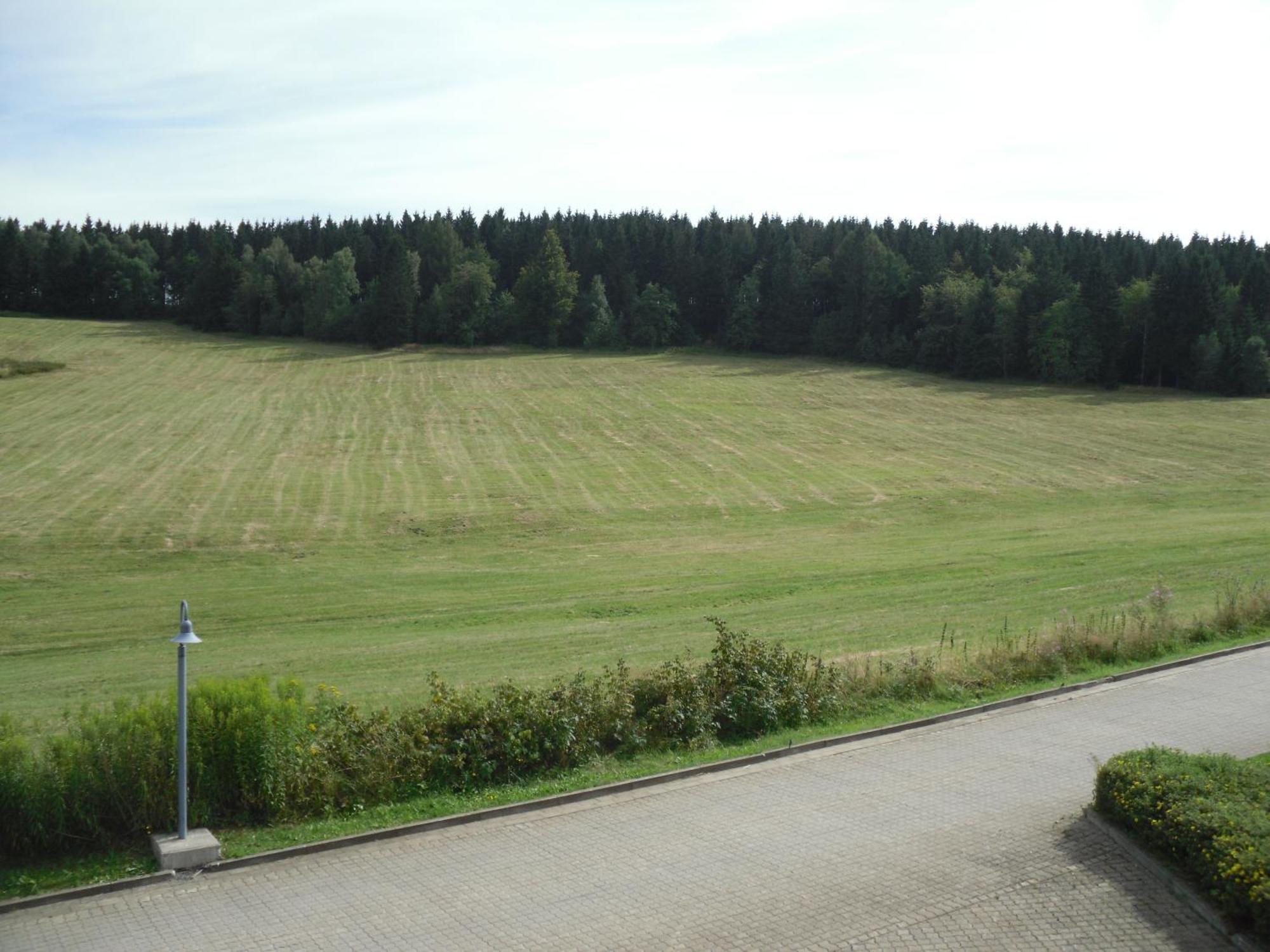 Apartment Sonnenschein Braunlage Eksteriør billede